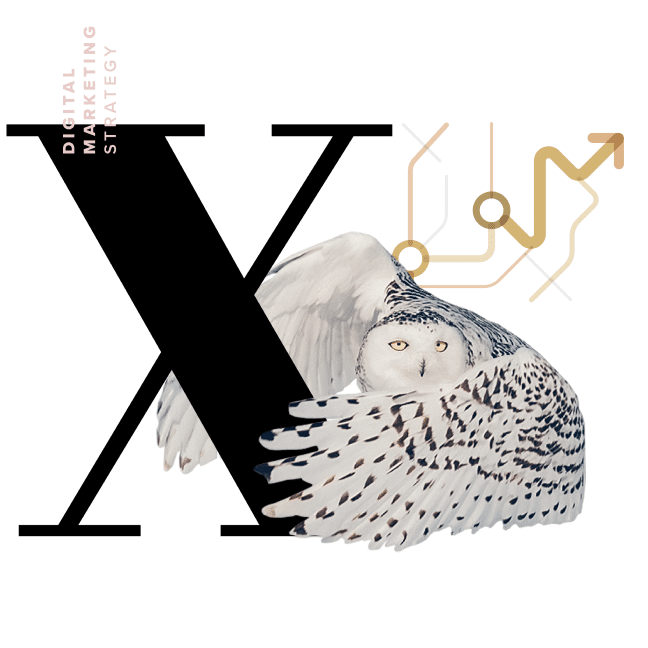 X owl